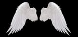 wings