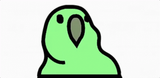 bird-parrot