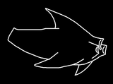 stealth cruiser