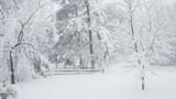 winter&#039;s end