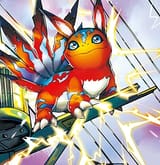 Zap