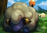 sheep_sleep