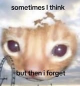 Thread 19763740 OP Image