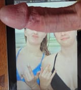 Double cockrest