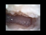 Thread 19786445 OP Image