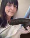 Wan_i2v__00002_thumb.jpg