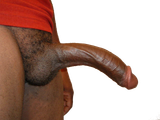 1646150610769