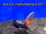 masturbation-06