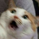 GajgJN4awAA1wHV