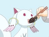 kyubey feed