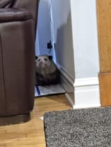 IMG_20250609_124516_248