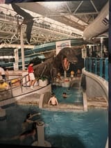 dino