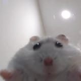 1745472004025