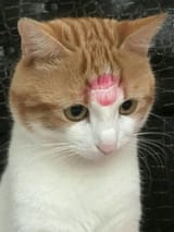 1702921353149388