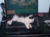 Exhausted from computer work