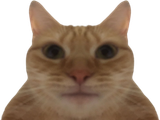 1752566343732643