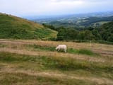 IMG_20250613_193755225-min