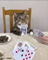 😼