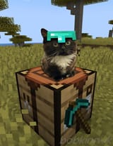 Virgo in Minecraft