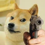 gun