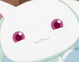 smug_kyubey