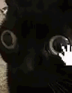 1661420956