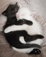 HUG
