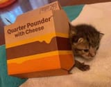 Screenshot_20221008_183648_Reddit