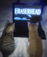 eraserhead