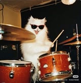 cat drums