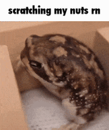 1747603176816020