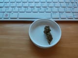 bud