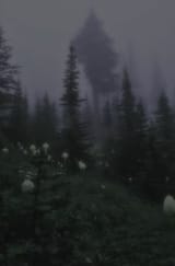 5ebbd2a5067675d99826671e53924e27