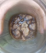 high goat liver