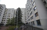 image_2025-06-15_015953899