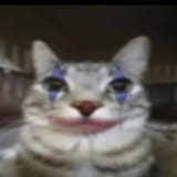 504907562_3963755837211482_3478836484748143835_n