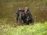 images - 2025-05-12T001452.777