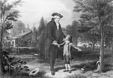 George Washington and the Cherry Tree