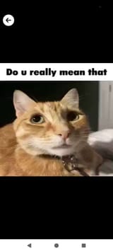 1000120426