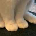 1686430928613368_thumb.jpg