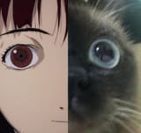 oωo