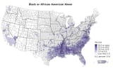 blackpopulation_uscensus