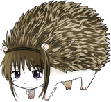 0000000000000