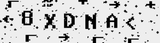 8 X DNA