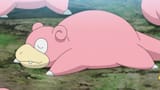 poke