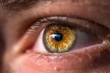 hazel eyes