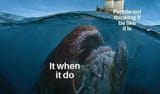 it when it do