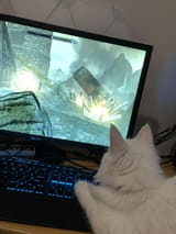 skyrim cat