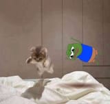 frens having fun