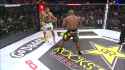 werdum_thumb.jpg